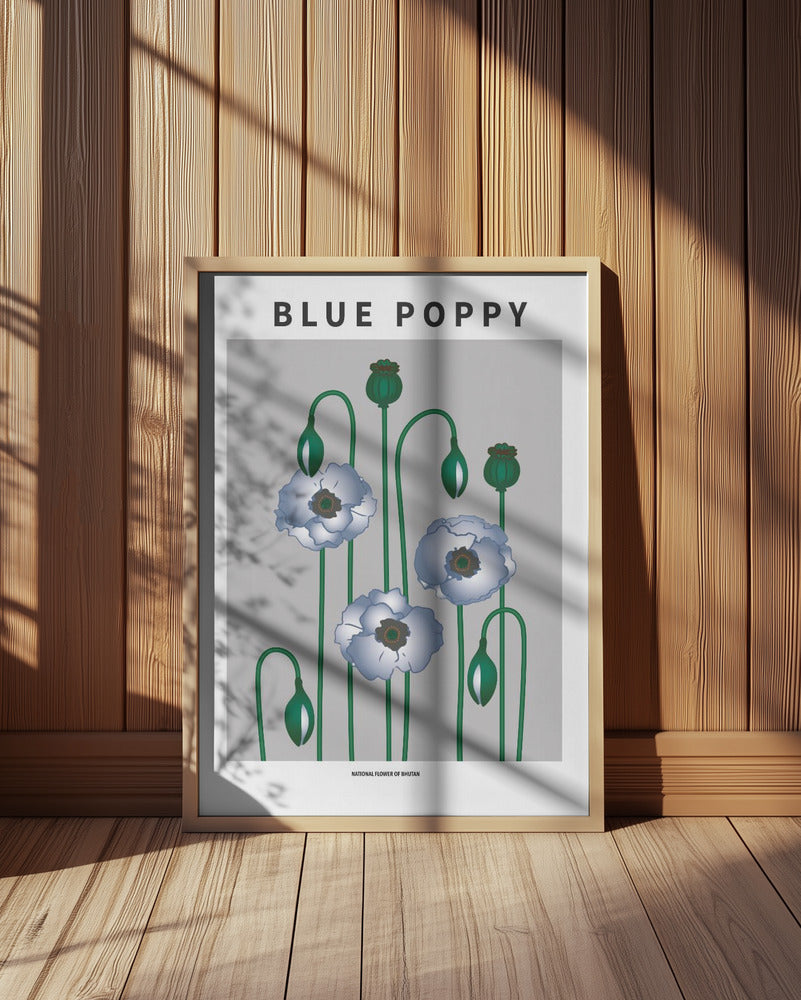 Blue Poppy - National flower of Bhutan Poster