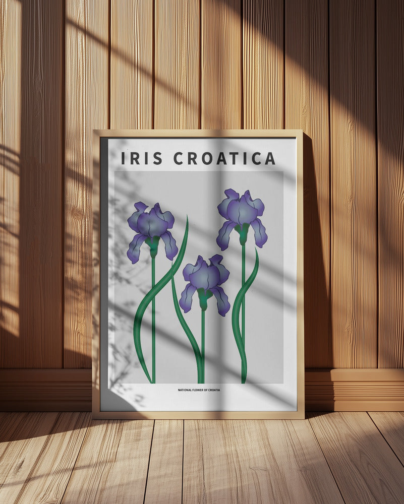 Iris Croatica - National flower of Croatia Poster