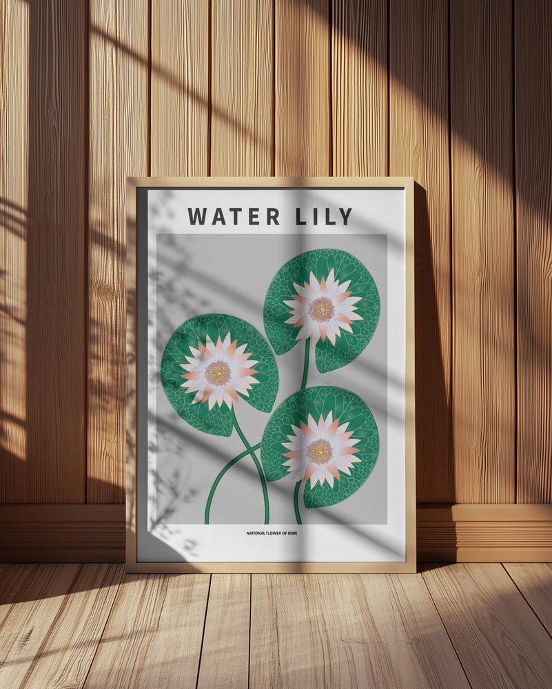 Water Lily - National flower of Iran Poster
