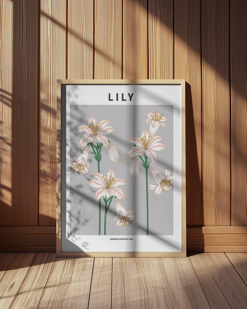 Lily - National flower of Italy Poster