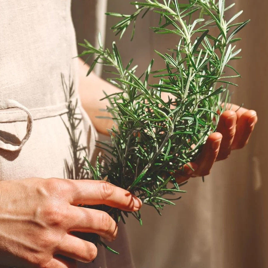 Which Herb Pairs Best with a Glass of Red Wine?