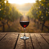 PFAS in Wine – What Do We Really Know?