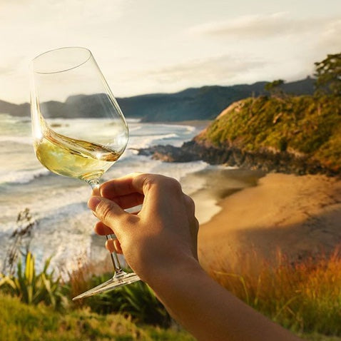 Sauvignon Blanc – New Zealand’s Signature Grape and a Global Wine Icon