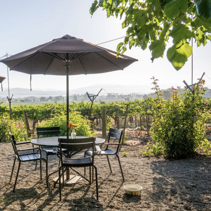Tres Sabores – An Organic Boutique Winery in Napa Valley Rooted in Craft and Nature