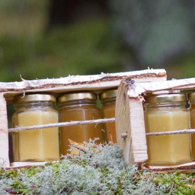 Skogens Honung – Award-Winning Small-Batch Honey from Småland