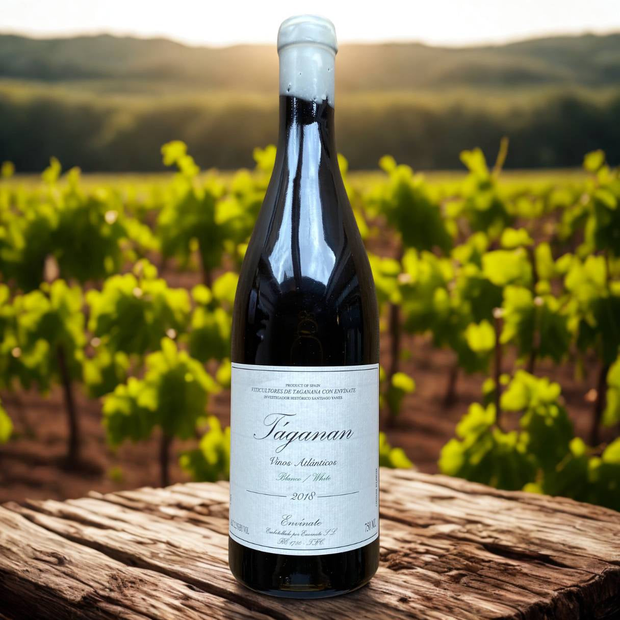 Envínate – The Future of Spanish Wine Is Rooted in the Past