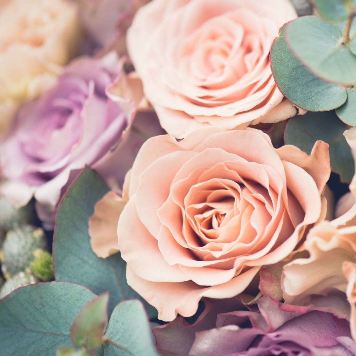 Valentine’s Day Flowers: How They Affect Our Senses and Emotions