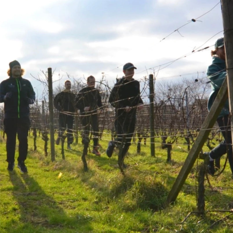Winter Wine Run 2027 on the Kulla Peninsula - a 10K run with vineyard wine tastings
