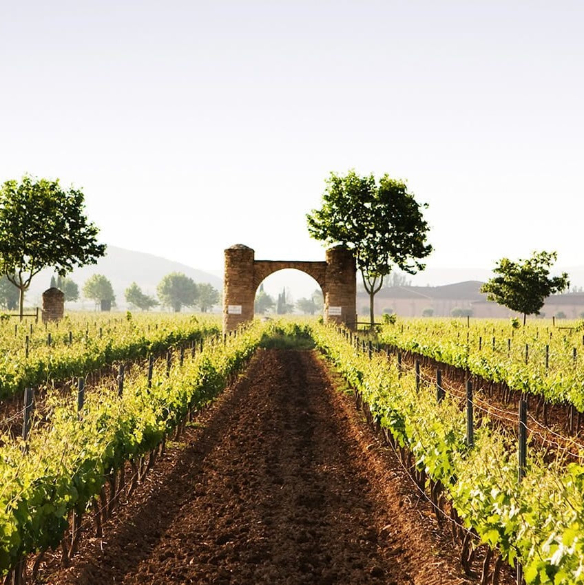 Bodega El Coto Rioja