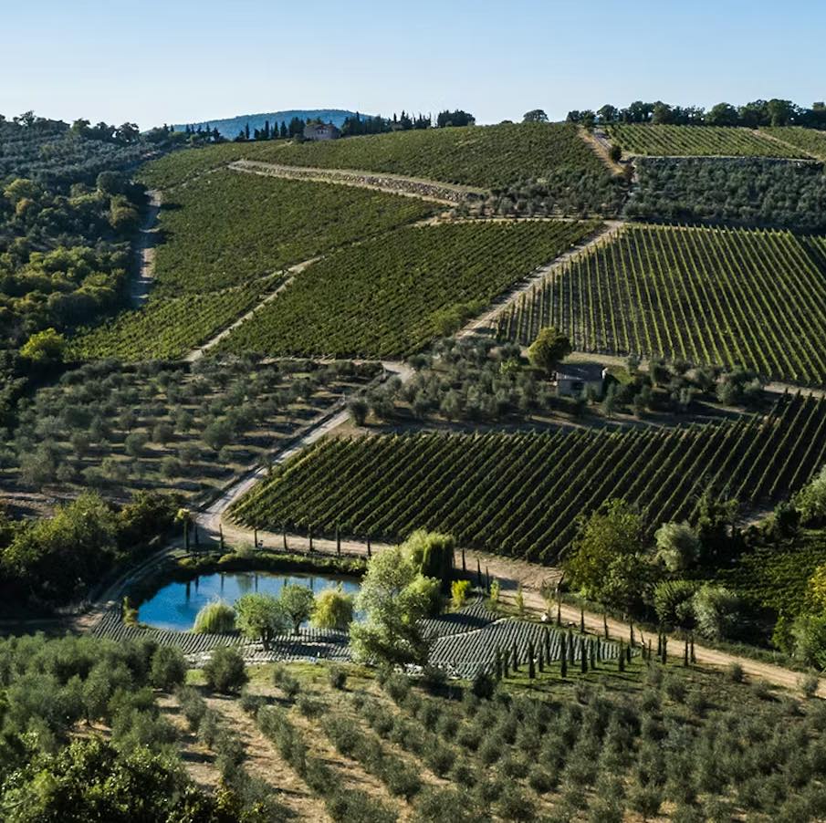 Castello di Ama in Chianti Classico