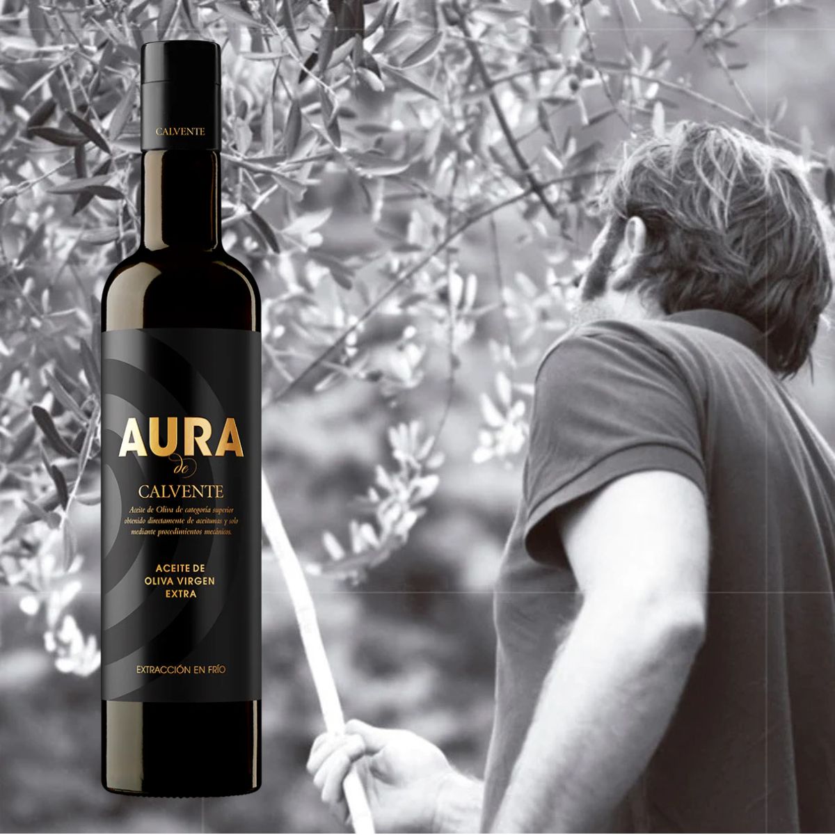 Aura de Calvente – Extra Virgin Olive Oil from the Calvente Winery in Southern Spain