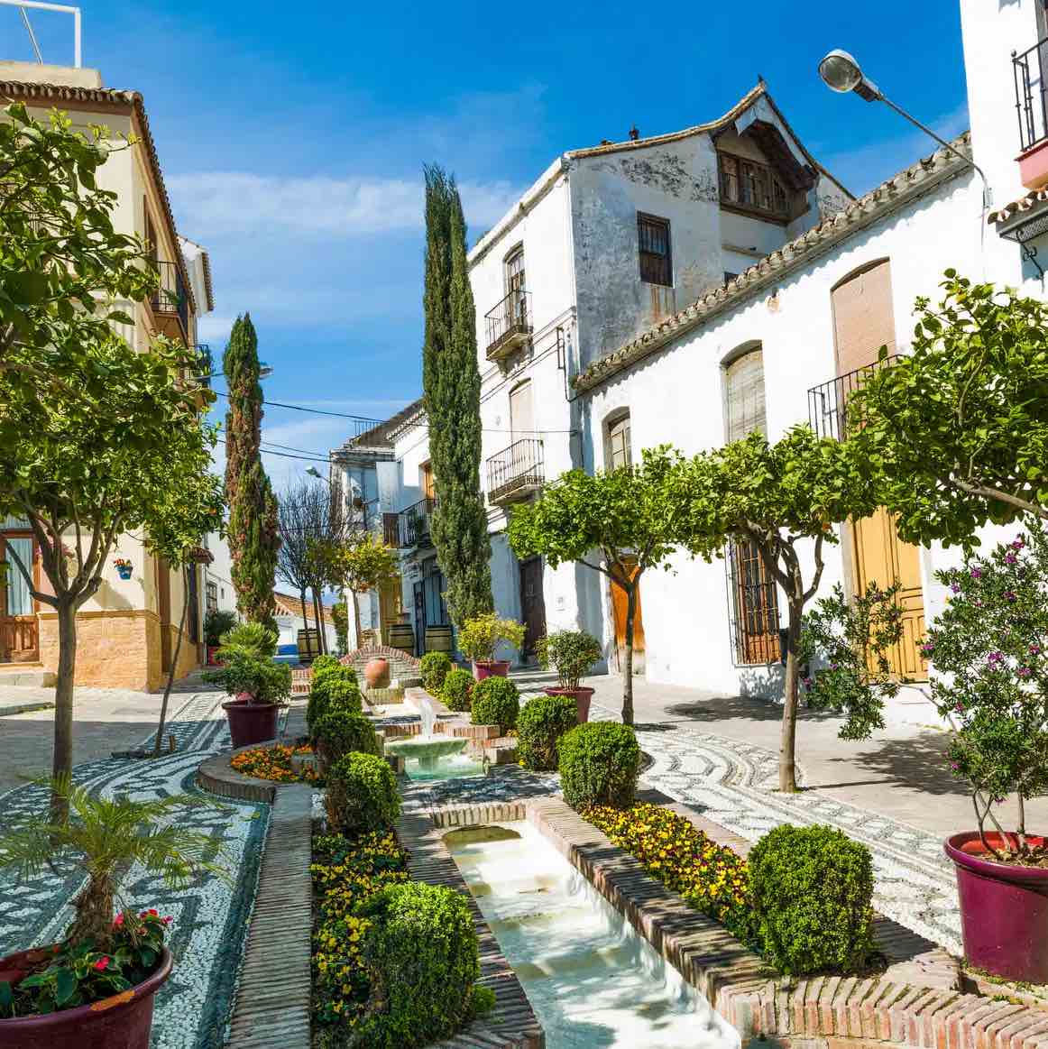 Estepona – The Blossoming Gem of Andalusia