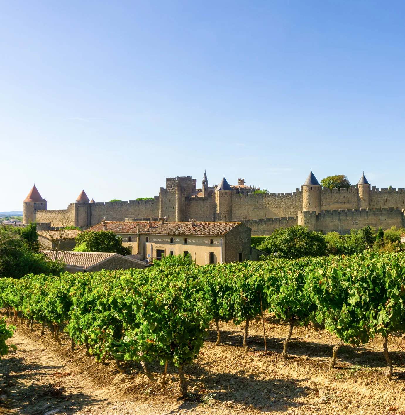 France’s Wild Wine Soul – Languedoc Steps Into the Spotlight