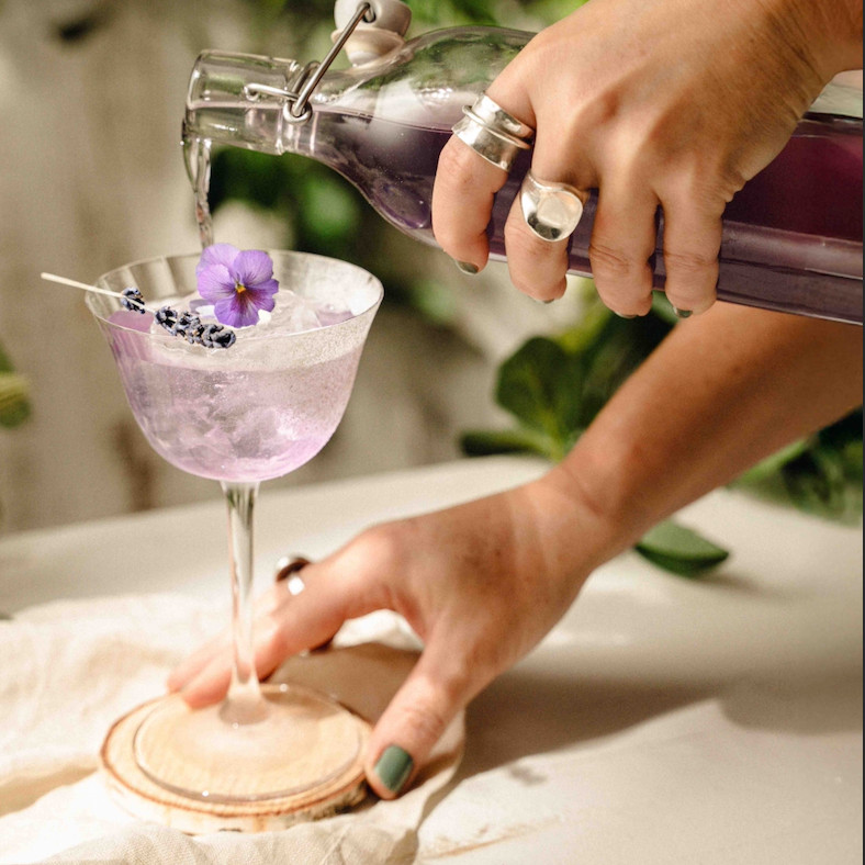 Wild Drinks with Bella Porcile