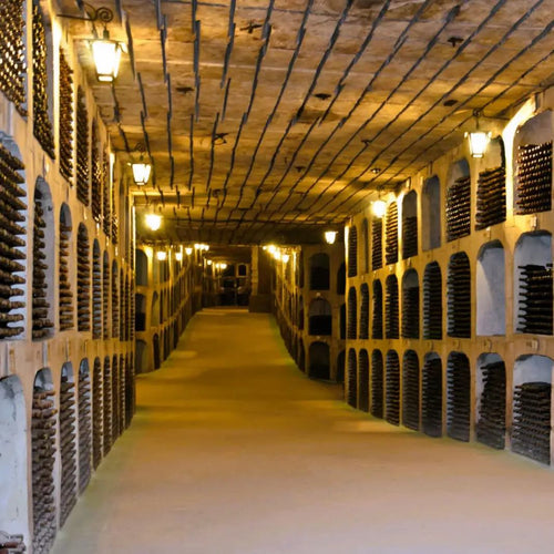 The World's Largest Wine Cellar – A Journey to Milestii Mici in Moldova