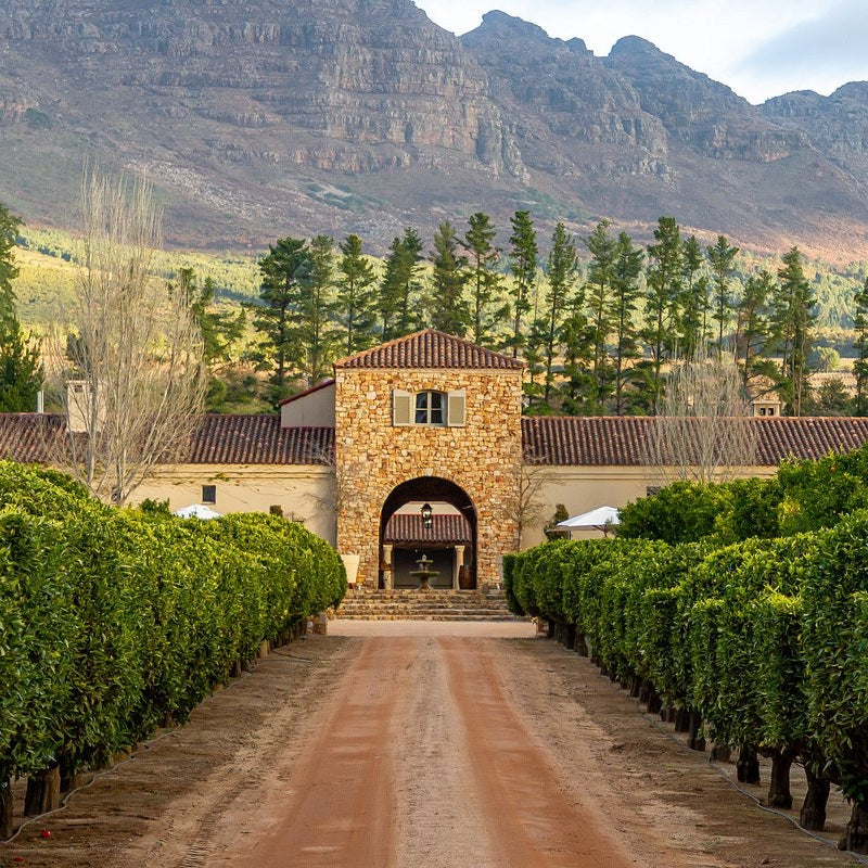 Stellenbosch – The Wine Capital of South Africa