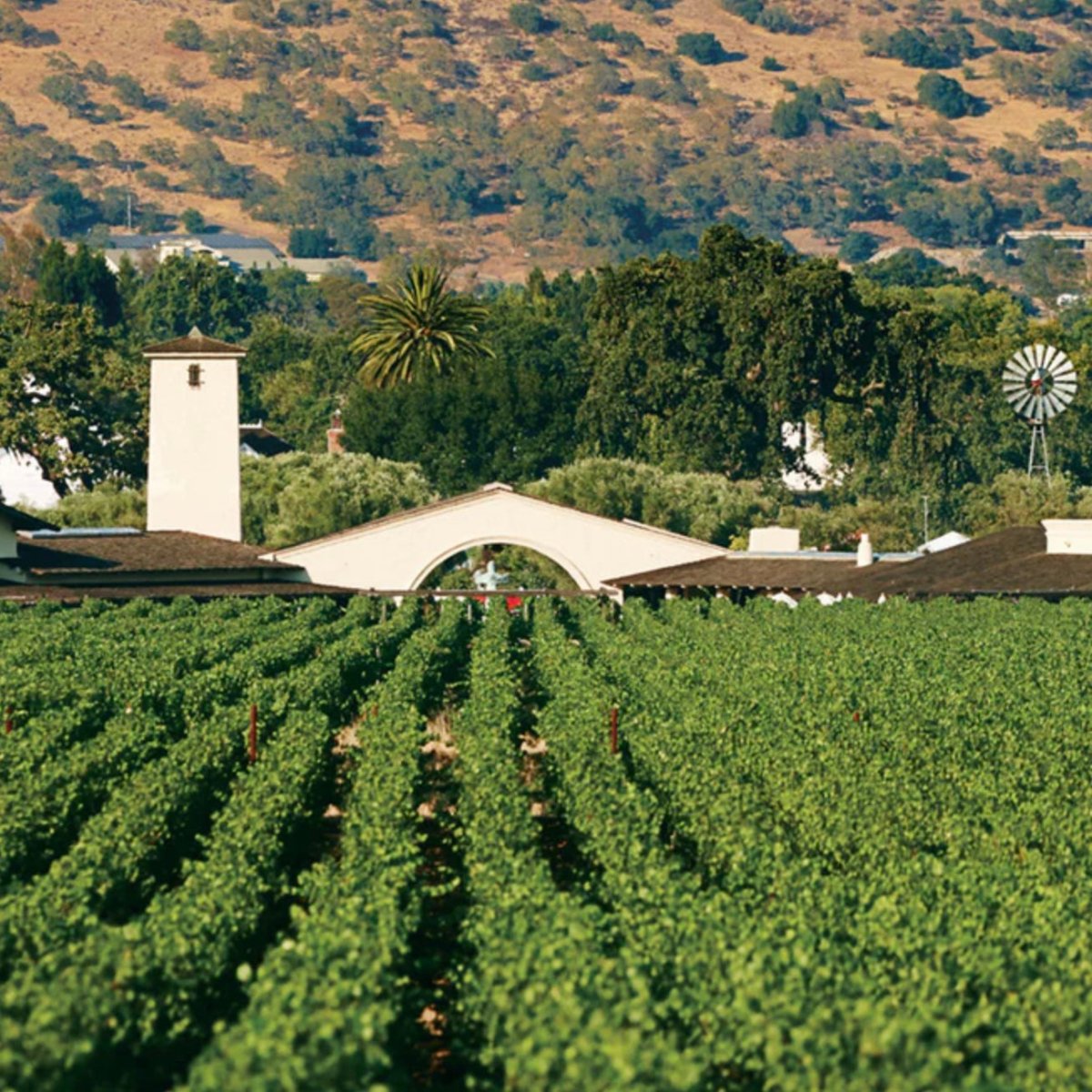 Discover the Most Famous Vineyard in California: Robert Mondavi Winery and Other Iconic Vineyards - Corkframes.com