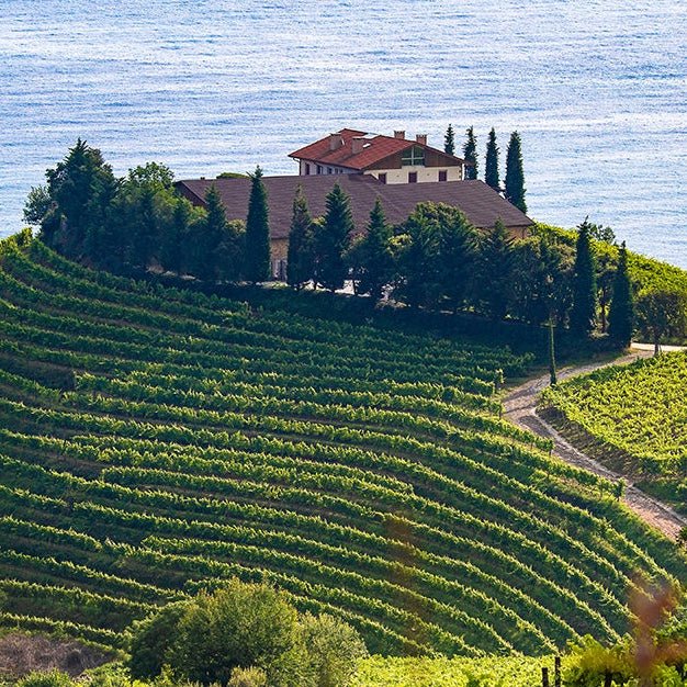 Discover Txakoli: A Wine Enthusiast's Guide to Basque Country's Hidden Gem - Corkframes.com