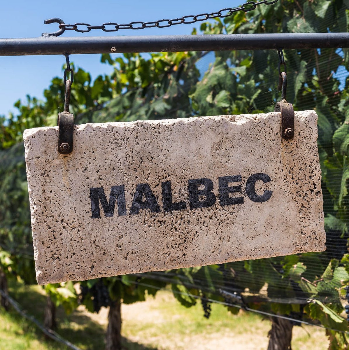 Malbec - The Pride of South America - Corkframes.com