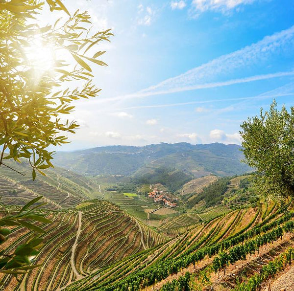 die-coolsten-speakeasy-bars-in-barcelona-entdecken