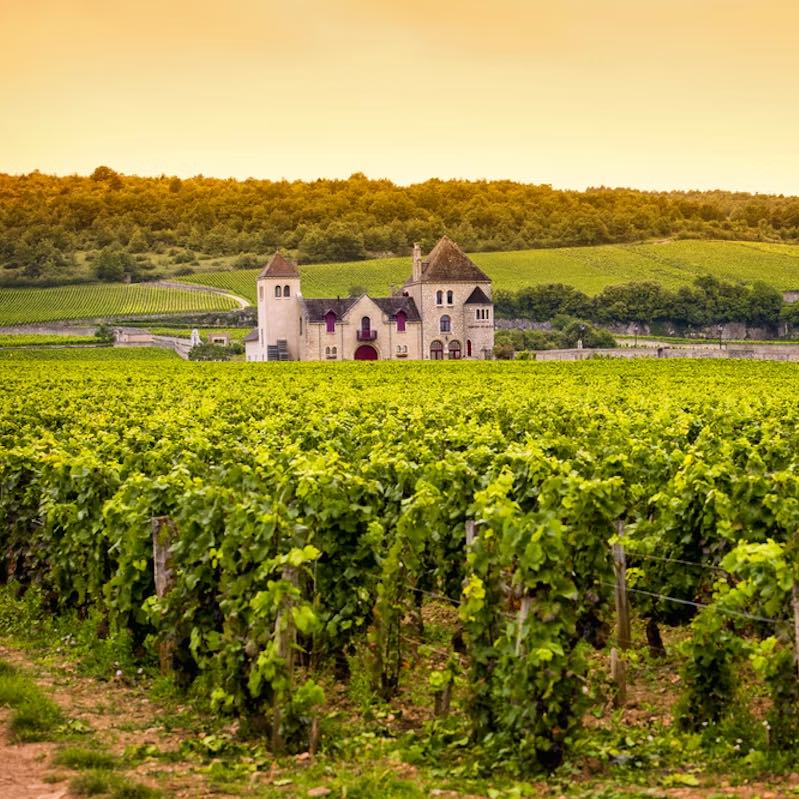 Regions and Important Areas in Bourgogne, from North to South - Corkframes.com