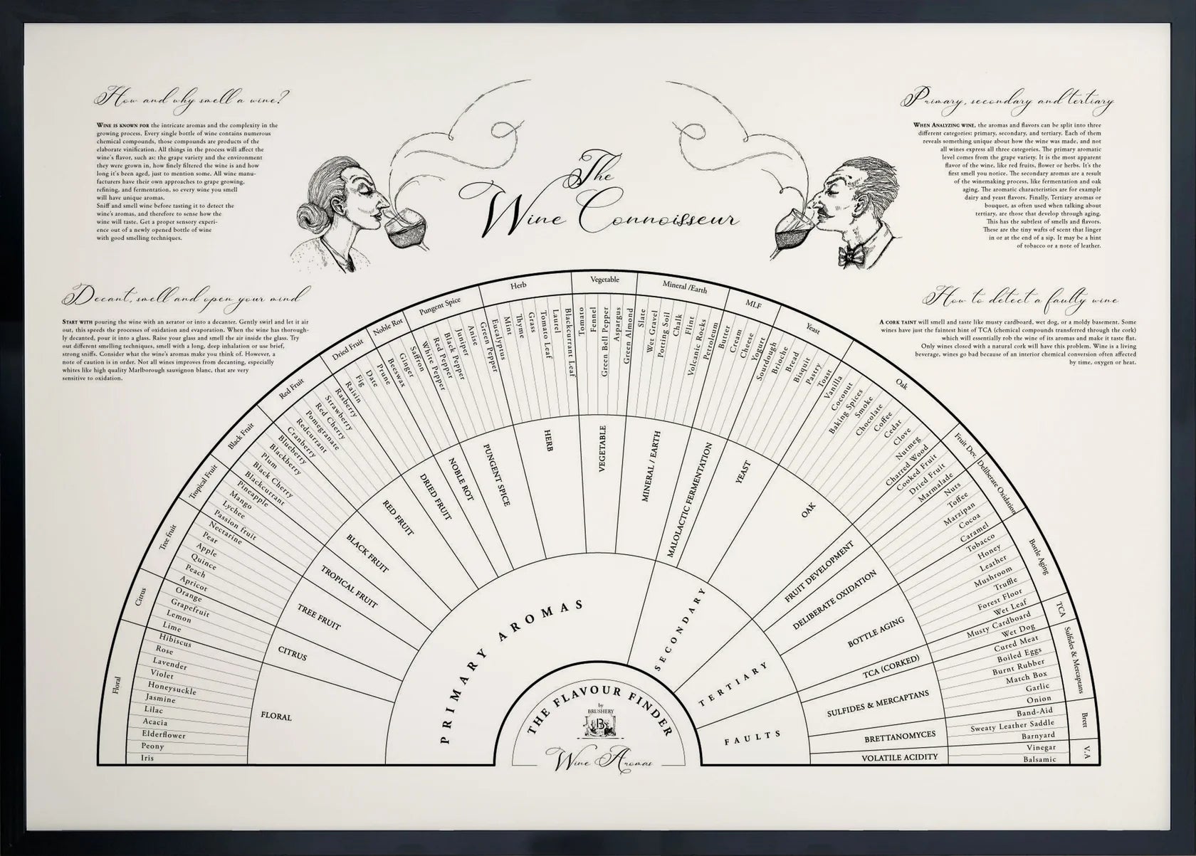 Flavour Finder - Aroma Wheel