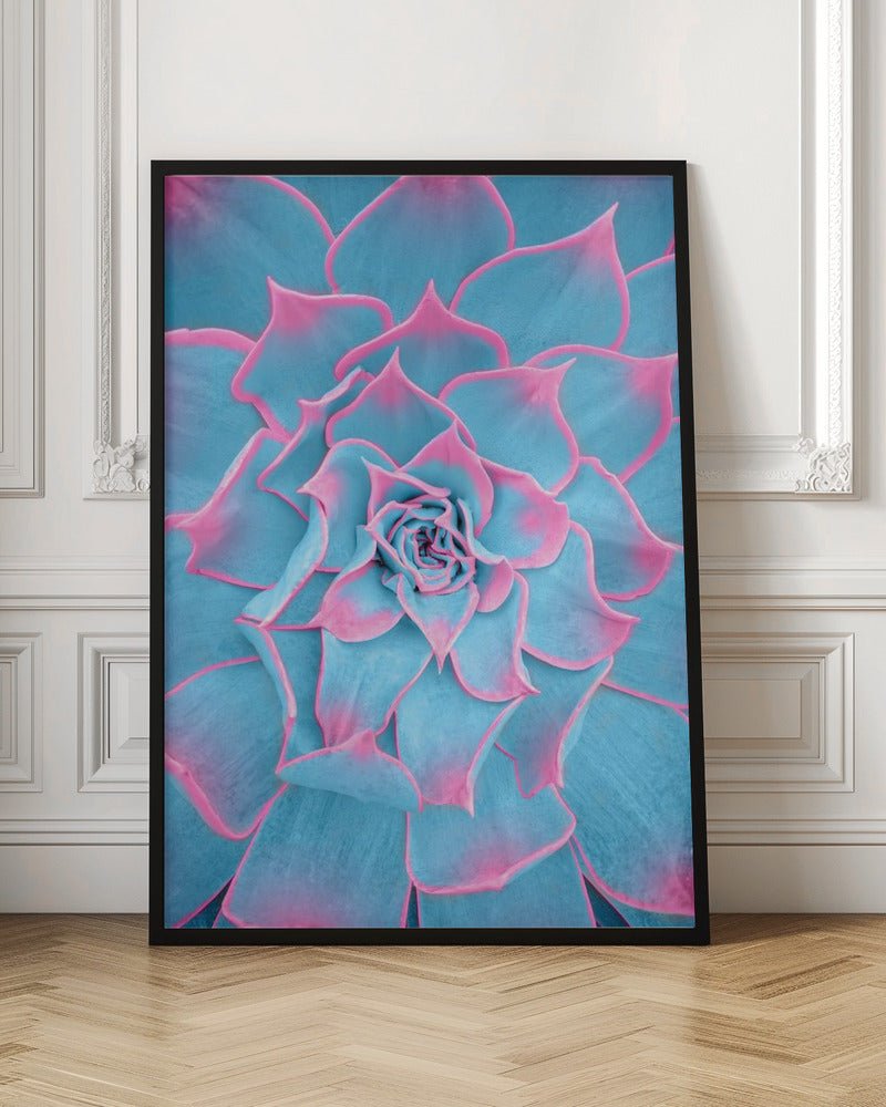 Blue and Pink Succulent - Corkframes.com