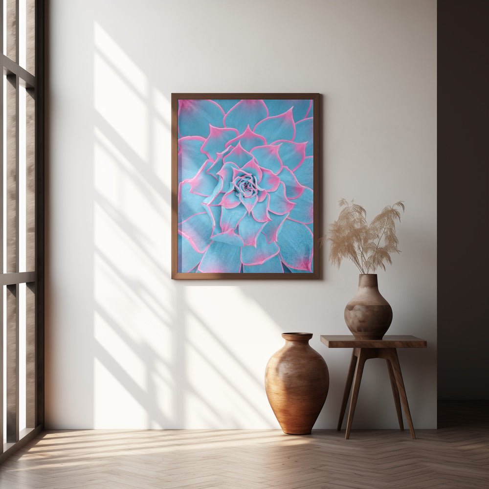 Blue and Pink Succulent - Corkframes.com