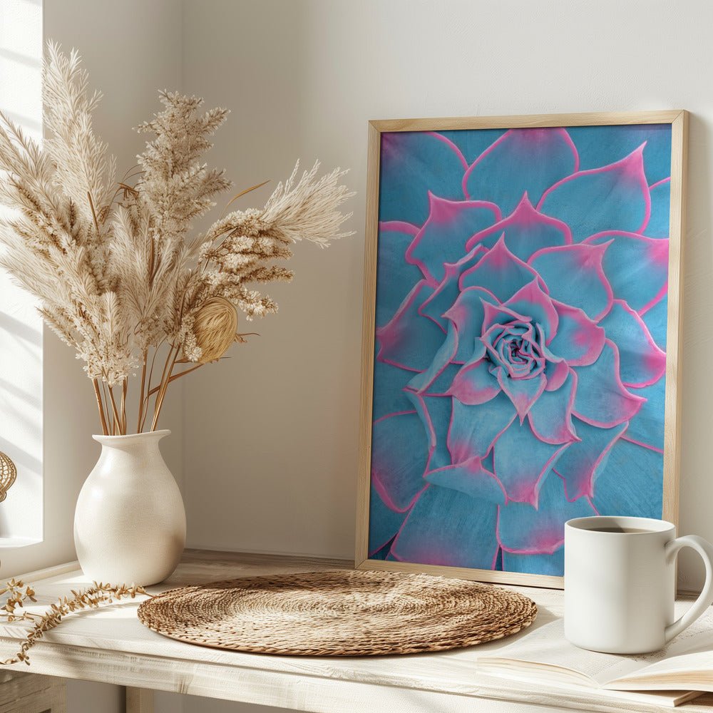 Blue and Pink Succulent - Corkframes.com