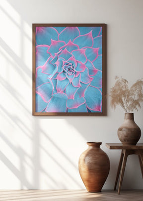 Blue and Pink Succulent - Corkframes.com