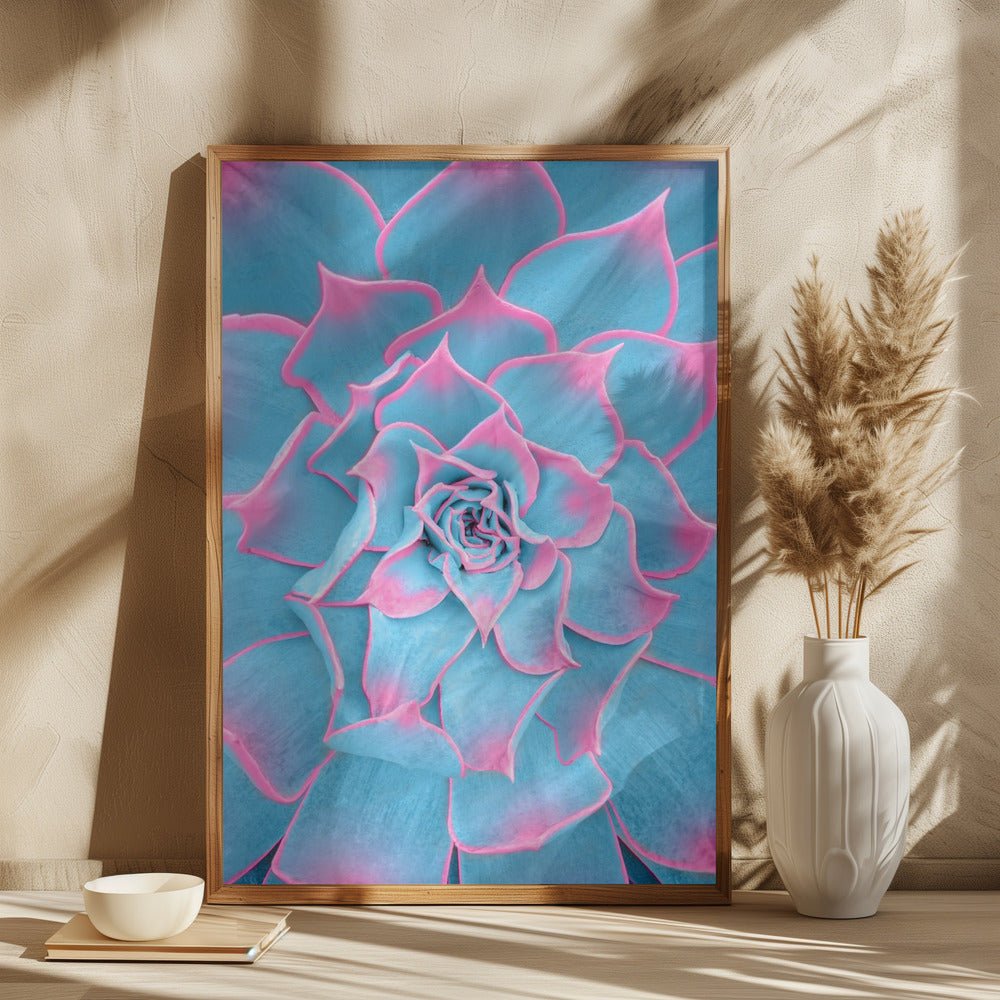 Blue and Pink Succulent - Corkframes.com