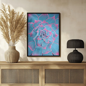 Blue and Pink Succulent - Corkframes.com