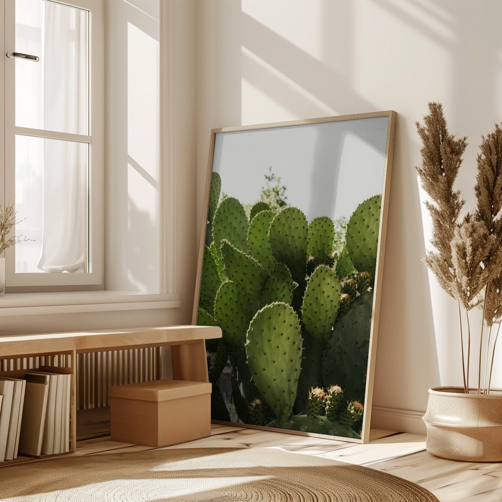 Cactus Poster - Corkframes.com