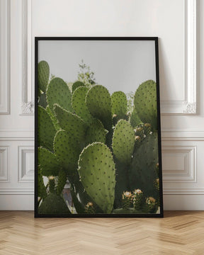 Cactus Poster - Corkframes.com