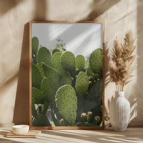 Cactus Poster - Corkframes.com