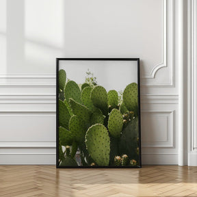 Cactus Poster - Corkframes.com