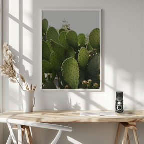 Cactus Poster - Corkframes.com