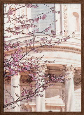 London Blossom Poster - Corkframes.com