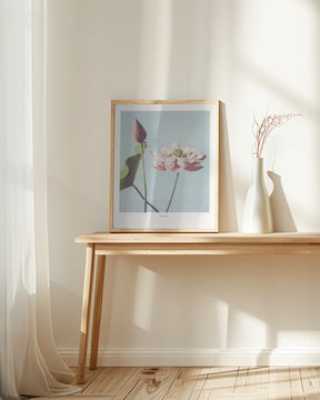 Lotus Flowers Poster - Corkframes.com