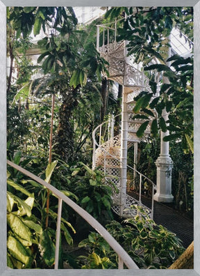 Palm House #2 Poster