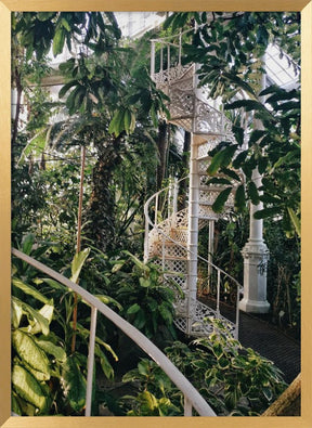 Palm House #2 Poster