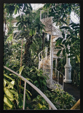 Palm House #2 Poster - Corkframes.com