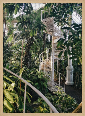 Palm House #2 Poster