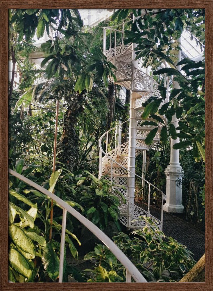 Palm House #2 Poster