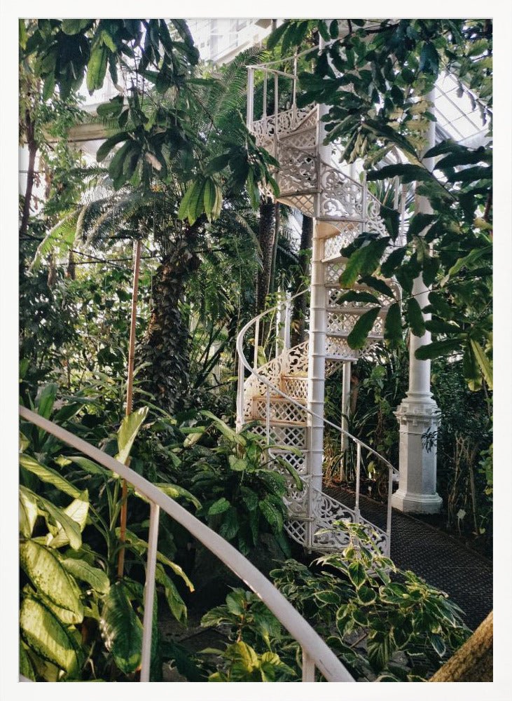 Palm House #2 Poster