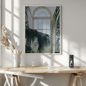 Palm House Poster - Corkframes.com