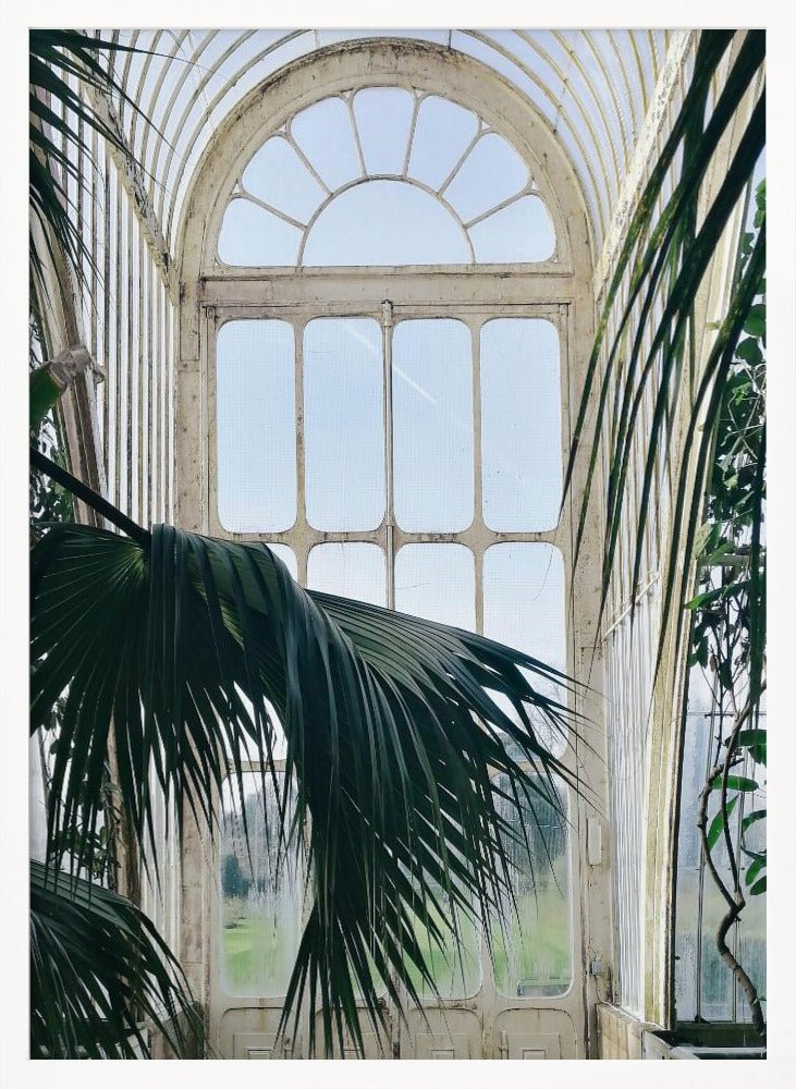 Palm House Poster - Corkframes.com