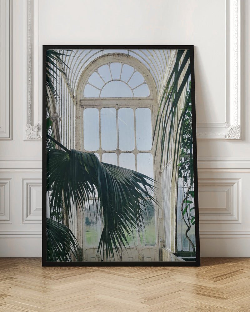 Palm House Poster - Corkframes.com