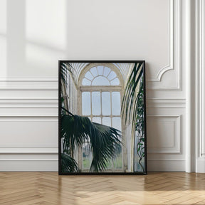 Palm House Poster - Corkframes.com