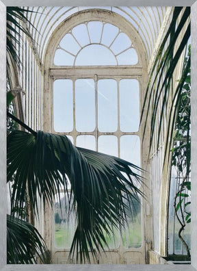 Palm House Poster - Corkframes.com